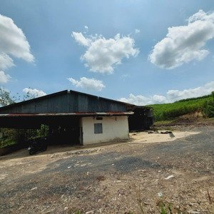 cho thuê xưởng 1500m2 và 18500m2 đất tại tân an, vĩnh cửu, đồng nai chỉ 40tr, lh 0906694959