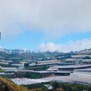 bán đất tại xuân thọ, đà lạt, 3,8 tỷ, 3000 m2 chỉ với giá tốt