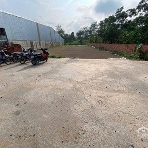 bán đất mặt tiền đường bông vang ,dt 1019 m2 ( 18x60m - nở hậu ), phong điền, cần thơ - , 7,9 tỷ