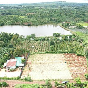 hàng hiếm tại cư bao, buôn hồ, đắk lắk, 299 triệu, 230 m2