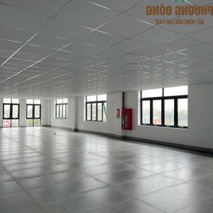 cho thuê văn phòng đường 72m, đại lộ vinh - cửa lò, tp vinh, nghệ an