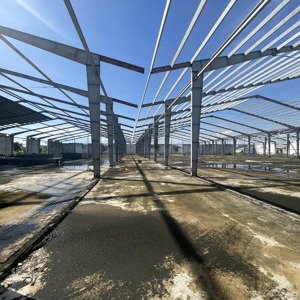 Cho Thuê Xưởng Kcn Bình định 5000m2 Có Pccc
