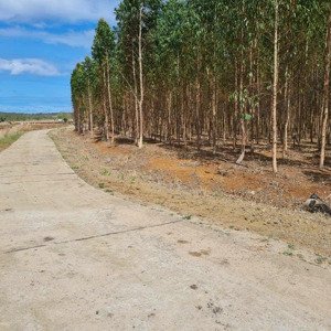 bán 8.5 mẫu đất 3 mặt tiền cực đẹp xã kon chiêng, mangyang, gia lai