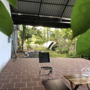 Nhà Vườn Mát - Rộng - Yên Tĩnh - Cây Xanh Nhiều
