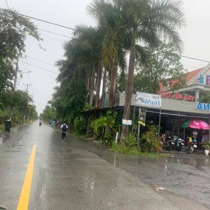 Cho Thuê đất 1.000m² Tại Bình Khánh, Cần Giờ Thổ Cư 100% Hợp đồng Dài Hạn