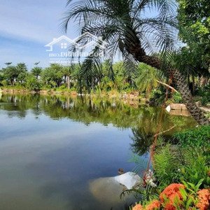 bán lô áp góc đối diện sân bóng nam hồng từ sơn, view mát mẻ gần tttm, sổ cầm tay, lh 0326569236