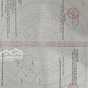 Bán Dãy Trọ ,cây Thông Ngoài ,sổ Hồng Riêng