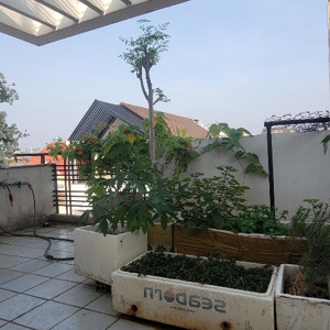 nhà bán, dt: 66m2, giá 17,2 tỷ, đ số 43, p thảo điền, tp thủ đức