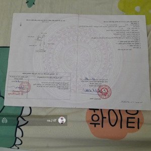 hàng hót mới nhất lâm động thủy nguyên hải phòng- giá chỉ nhỉnh 1 tỷ