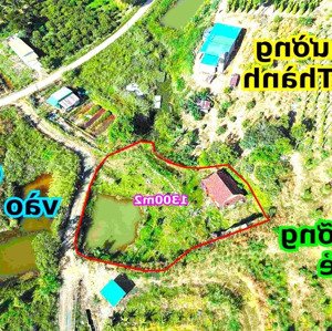 1300m2 nghỉ dưỡng view thời kỳ pháp thuộc cho cô chú nào muốn quay về quá khứ