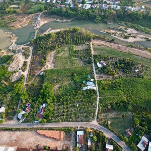 Chủ Kẹt Bán Nhanh Mảnh Vườn Xã Diên Thọ, Huyện Diên Khánh. Giá Rẻ