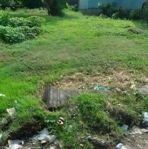 cần bán đất mt phong thới, vũng liêm, vĩnh long. giá 700tr/120m2,shr