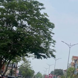 bán gấp đất nền 99m2, 2,25 tỷ ở quốc lộ 2b, kim long, tam dương, vĩnh phúc