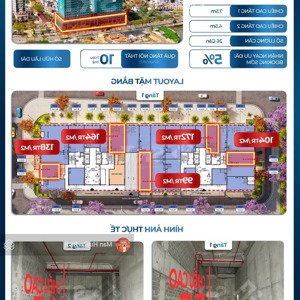 ms. bích,shop chân đế, sunsymphony, ponte.gà đẻ trứng vàng giá trị truyền đời,tặng nội thất 10tr/m2