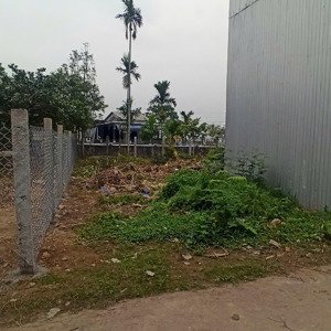bán đất 75m2 kiệt oto thông thoáng lý nam đế - phường an hoà - thành phố huế