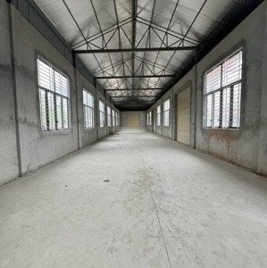 Chính Chủ Cho Thuê Nhà Xưởng Vị Trí đắc địa Tại Thị Trấn Kim Tân
