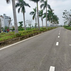 chính chủ cần bán lô mặt tiền hàng dừa 29/3, hoà xuân, cẩm lệ, đà nẵng