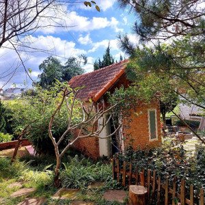 bán nhà vườn gần trung tâm đà lạt