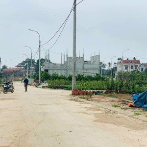 bán đất đấu giá hoàng trạch, mễ sở, 44tr/m2, 98m2, mặt tiền 7.04m, ngõ 11.5m, pháp lý đầy đủ