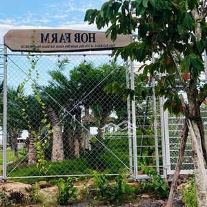 Bán Villa Farm View đồi Siêu đẹp - Giá Rẻ Nhất Khu Vực Diên Khánh