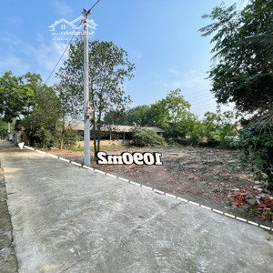 Trang Trại 1090m2 Mặt Tiền 36m Sẵn Sổ, Có 400m2 Chuồng Gà Tại Cấn Thượng, Cấn Hữu, Hà Nội