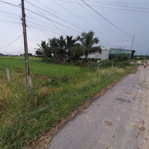 bán đất vàng tân mỹ, đức hòa, long an - giá 3,79 tỷ đồng
