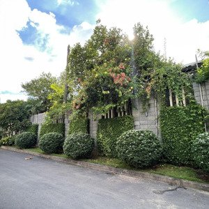 biệt thự sân vườn ngay phan kế bính, phường đa kao, quận 1, dt: 180m2 đất, giá chủ nhà giảm 25tỷ