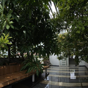 nhà siêu đẹp, thoáng 240m2 chính chủ cho thuê, giá 25trieu/t, cố định giá 3-5 năm, kế mọi tiện ích