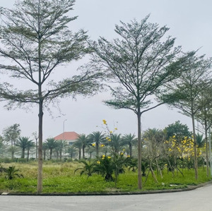 bán gấp lô liền kề siêu đẹp vườn hồng nam hồng từ sơn garden. gần hồ điều hòa 7,2ha. giá 3xtr/m2