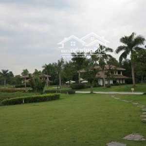 bán gấp lô đất 370m2 được tự xây dựng theo thiết kế tại flamingo đại lải