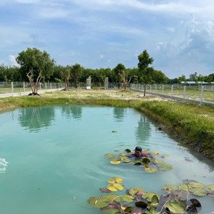 cần tiền bán gấp khu đất cln- thích hợp làm nhà vườn nghỉ dưỡng tại củ chi