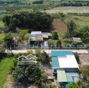 có 1 không 2 lô đất 4500m2 có nhà vườn cấp 4 tại ninh tân, ninh hòa giá chỉ 900k/m2
