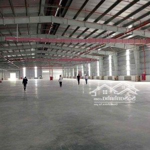 Cho Thuê Kho Xưởng Khu Công Nghiệp Tân Mỹ Chánh, Tp Mỹ Tho