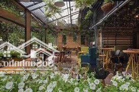 cho thuê mb riêng biêt lô góc hoà cường bắc ngang #10m! quận hải châu
giá 25tr/ tháng
dt