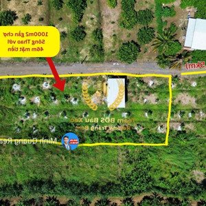 bán vườn trái cây 1000m2 gần chợ sông thao, lúc sốt 1ty7, giờ ngộp quá chủ bán 690 triệu