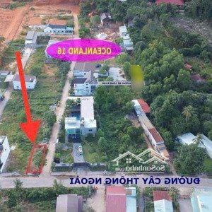 đất mặt tiền .đường cây thông ngoài .phú quốc