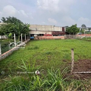 chủ cần tiền để chi trả bán gấp mt bàu trai, 100m2, mặt tiền 5m, 700 triệu