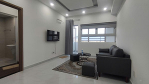 cho thuê căn hộ 2pn, 2wc, giá siêu hời 8 triệu, 84m2 tại conic boulevard, bình chánh, hcm