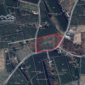bán đất nền tại xã hưng thuận, trảng bàng, tây ninh, giá 9 tỷ, diện tích 5251 m2, nhiều tiện ích