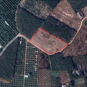 bán đất tại xã hưng thuận, trảng bàng, tây ninh, giá 16 tỷ, diện tích 9275m2, đất hai mặt tiền
