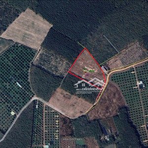 bán đất 10009m2 tại hưng thuận, trảng bàng, tây ninh, giá 8 tỷ vnd