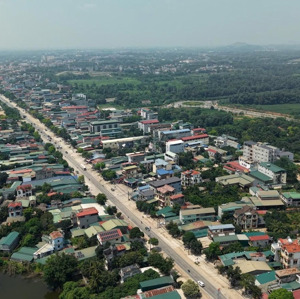 cắt cho anh chị r5 cây vàng bán gấp mảnh đất