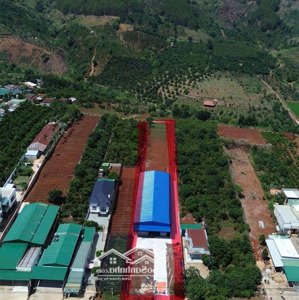 Kho Xưởng Mới 100% Cho Thuê, Mặt Tiền đường Tỉnh Lộ 725. Diện Tích 1500m2
