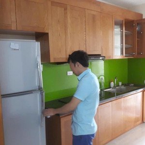 cho thuê căn hộ 1pn, 1wc, 45,5m2 cc phenika tại xã thạch hòa, thạch thất, hà nội, 4,5 triệu vnd