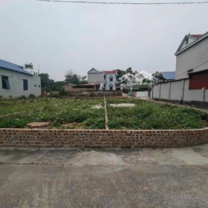 Cực Hiếm! Lô Góc 112,5m² Tại Sóc Sơn Hai Mặt Thoáng, ô Tô Tránh Nhau, Sổ đỏ Lâu Dài, 26tr/m2