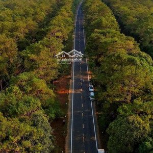 bán đất 121,42m2, 2,8 tỷ tại võ thị sáu, măng đen, kon plông, kon tum đẹp, nhiều tiện ích