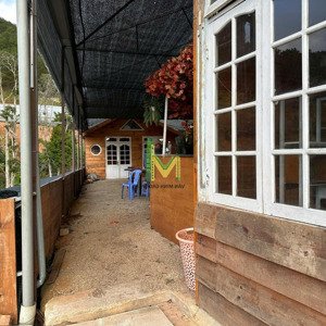 Cho Thuê đất 1000m2 Có View Rừng Thông Và Suối Tại Thành Phố đà Lạt