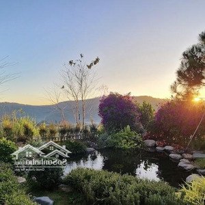 Giảm Ngay 200tr Khách Thiện Chí, Bán Căn Nhà 500m2 Có Sân Vườn View Rừng Thông , Săn Mây Trung Tâm