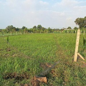 bán đất tại xã thái mỹ, củ chi, hồ chí minh, 7 triệu / m2, 2700 m2