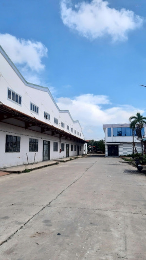 cho thuê kho xưởng 8.000m2 bình chánh. xưởng thông thoáng, sạch đẹp.